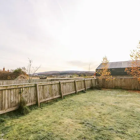 Dove * Μπράμπτον